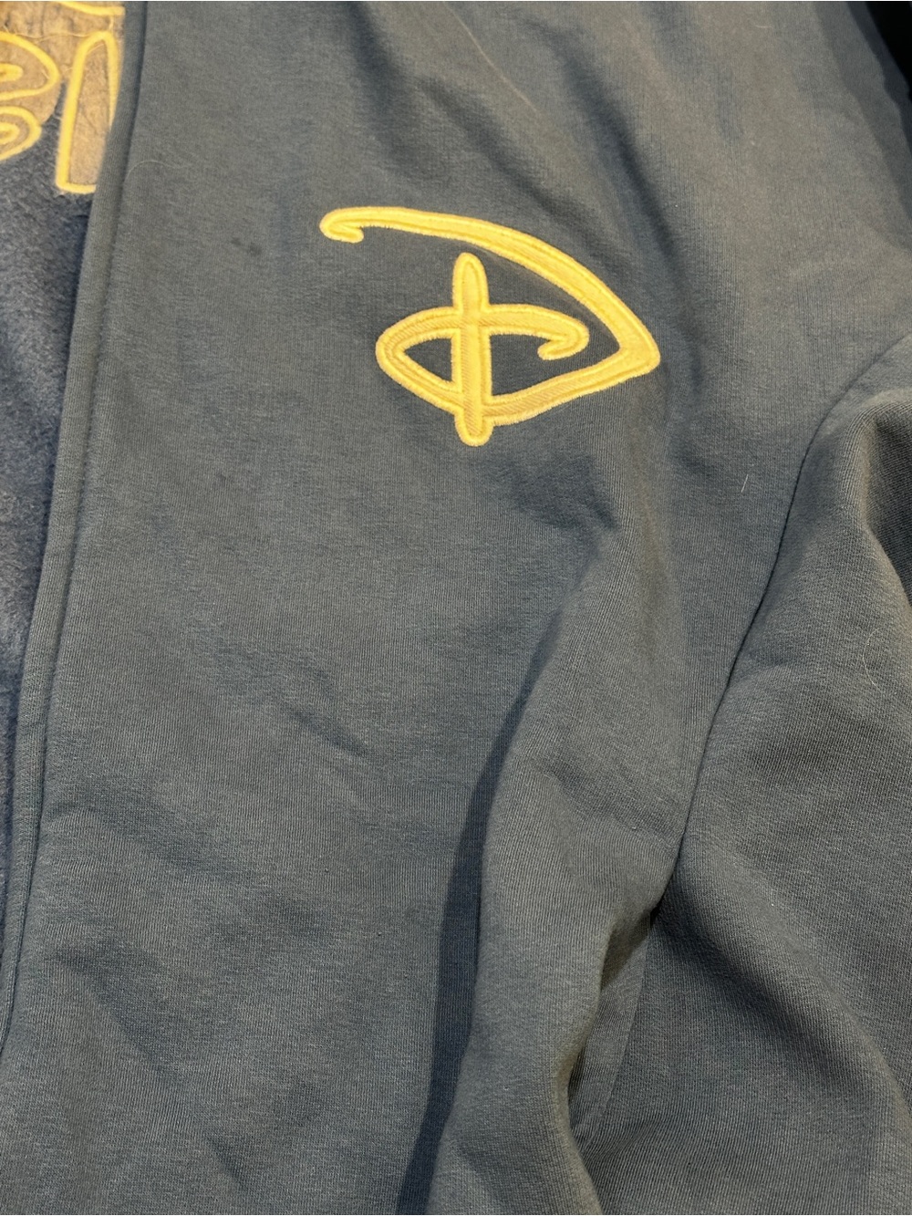 Disney Parks Walt Disney World Blue Full Zip Hoodie Adult Large - Picture 9 of 11